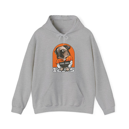 Gildan_ Dog_Pet_Unisex Heavy Blend™ Hooded Sweatshirt